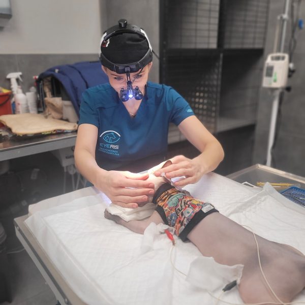 Weterynarz Bogatki - Vet House