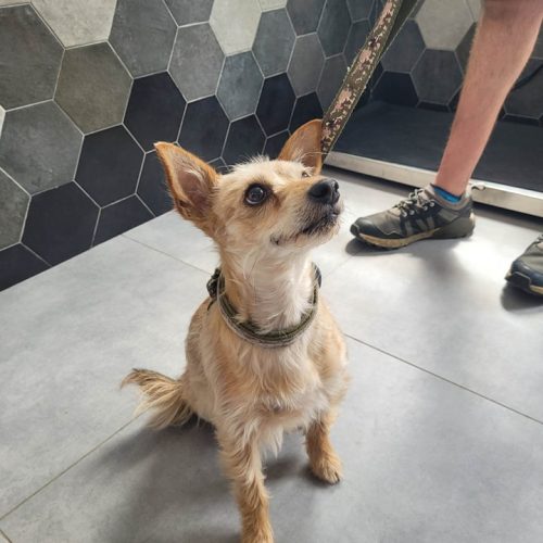 347238040_234202632697993_366919487557133367_n