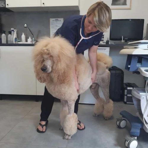 Aleksanda Łozińska